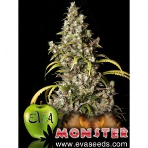 Monster x3+1 - Eva Seeds