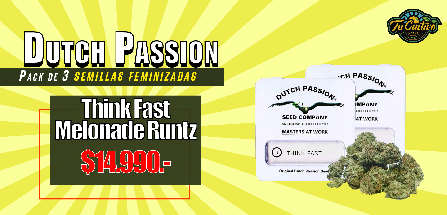 Banner dutch Passiont