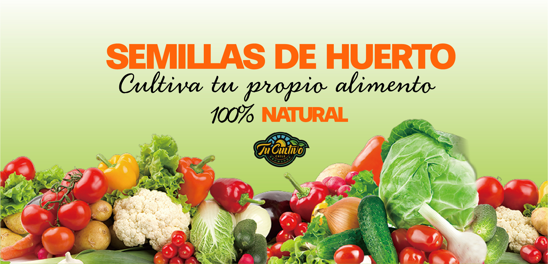 Banner huerto 01 Artboard 1