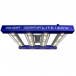 Panel Quantum Lite 160W - Delight