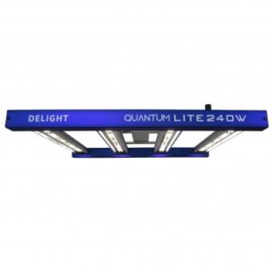 Panel Quantum Lite 240W - Delight
